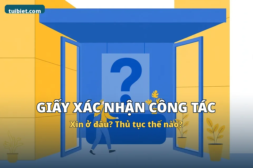 Giấy Xác Nhận Công Tác Để Xin Học Bán Trú: Xin Ở Đâu, Thủ Tục Thế Nào?