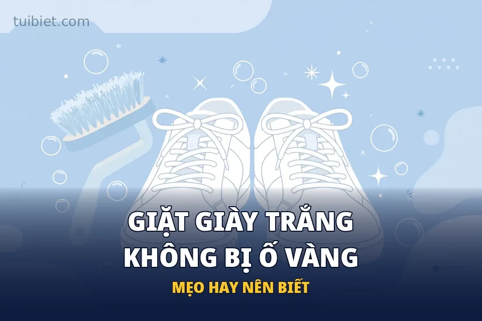 Cách Giặt Giày Trắng Không Bị Ố Vàng
